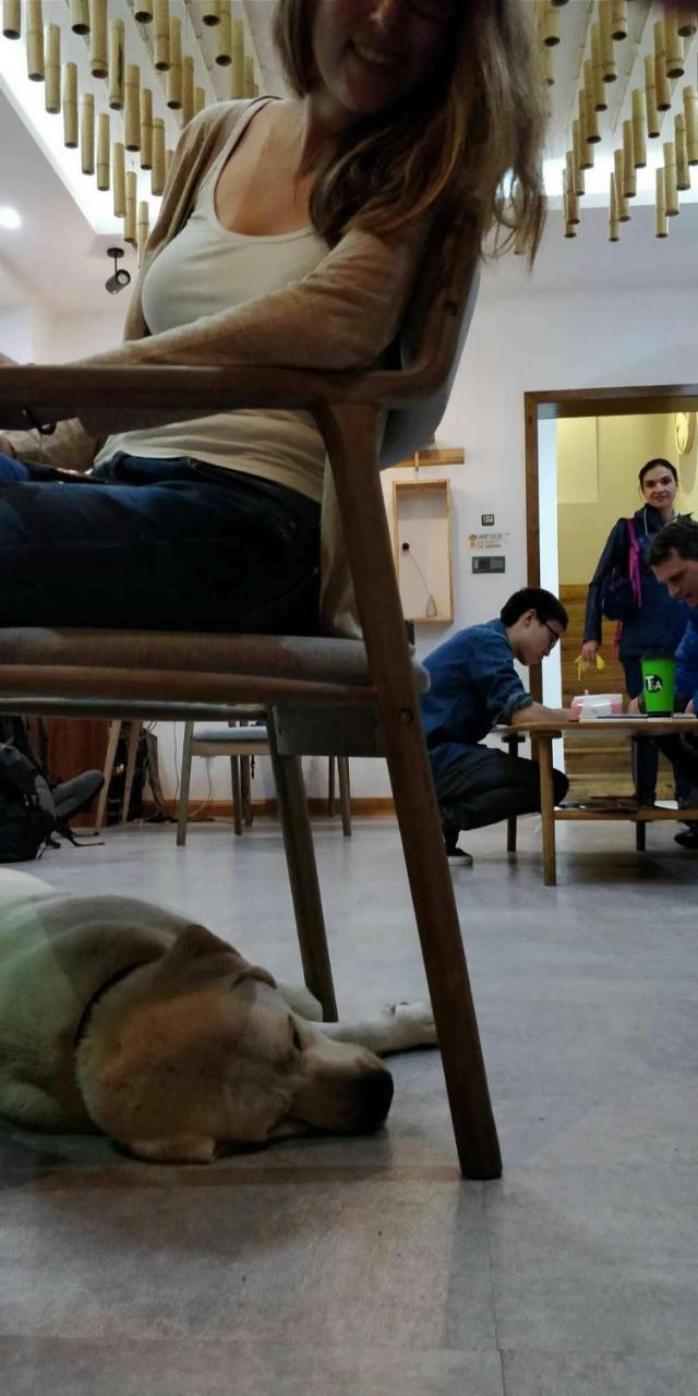 Wally House青山惠风民宿 Zhangjiajie Buitenkant foto